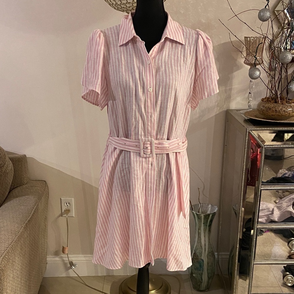 Alexis Blush Striped Belted Mini Dress - Picture 3 of 5